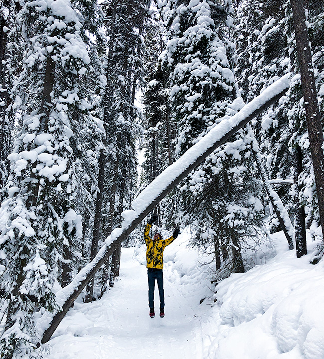 cloudy-winter-hike